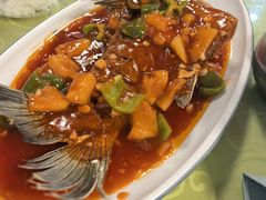 -雪湖煜辰鱼头老店(雪野湖店)