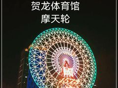 -星城之眼摩天轮