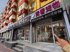 -青奢宠物·青奢猫舍