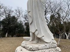-太子山公园(园东路)