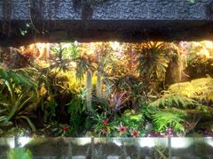 -北京植物园-展览温室