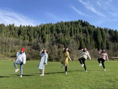 -武陵山森林公园