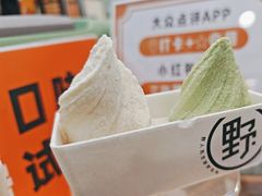 -野人先生现做冰淇淋(西安赛格店)