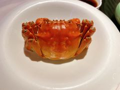 -蟹榭(静安寺晶品商场店)
