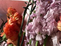-双季花艺园艺市场(浦东店)