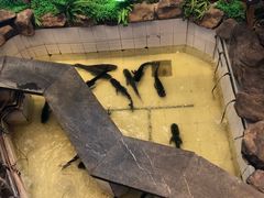 -春盛渔府(牛首山店)