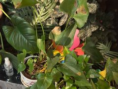 -泰古龙抓龙筋·spa按摩(静安店)