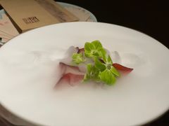 -觀芷隐轩