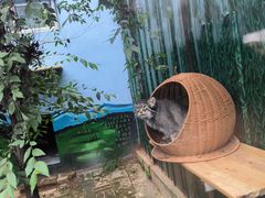 -青藏高原野生动物园