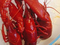 -舞虾小说.涮肉.烧烤(国顺东路店)