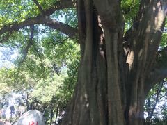 -鹅岭公园瞰胜楼