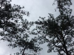 -龙湾潭国家森林公园
