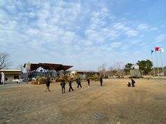 -上海长兴岛郊野公园