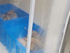 -正宗忘不了老鹅(梅岭店)