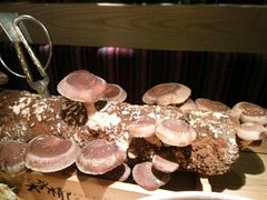 鲜菌-大头椰·椰子鸡火锅(南宁万象城店)