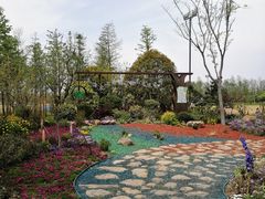 -上海长兴岛郊野公园