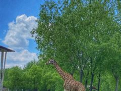 -哈尔滨北方森林动物园