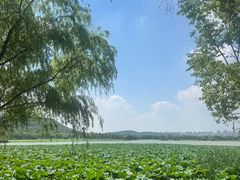 -云龙湖旅游景区