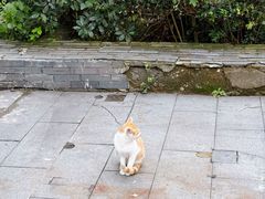 -句容茅山景区