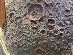 -破瓦寒窑·地摊烤羊排