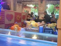 -粗粮人家·东北菜(洋桥店)