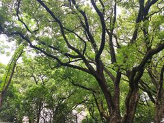 -上海宋庆龄故居纪念馆