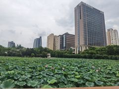 -黄兴公园