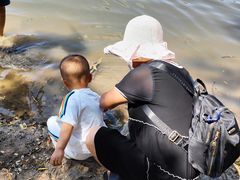 -长白岛森林公园