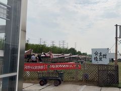 -上海山野camping·户外天幕烧烤·团建拓展营地
