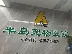 -半岛宠物医院24小时(白果林店)