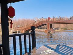 -溱湖国家湿地公园