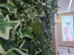 -芳朵美容养生SPA