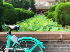 -四川大学(华西校区)