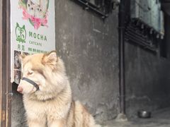 -磁器口古镇