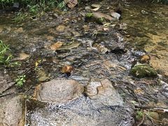 -碓臼峪自然风景区