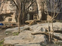 -自然谷恐龙园