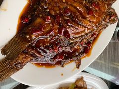 干烧鱼-林之六八·6886大连老菜馆