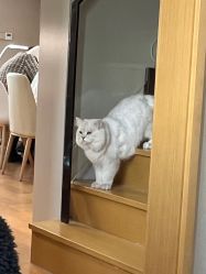-UGIRL有个美甲