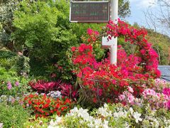 -梧桐山风景名胜区