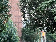 -Me&Joe意大利面·珍珠奶茶(鲁班路店)
