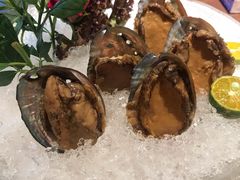 手工冰镇鲍鱼-木棉·醉心粤味(COCO Park店)