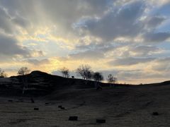 -塞罕坝国家级自然保护区