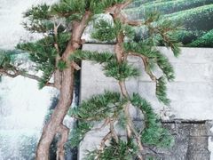 -湘邻呷铺·田园家宴(汉基广场店)