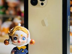 -Apple零售店(成都太古里店)