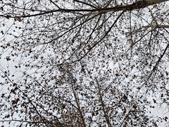 -西南交通大学(九里校区)