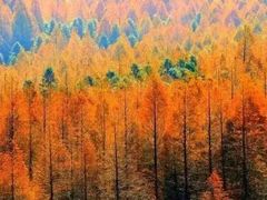 -山王坪喀斯特国家生态公园