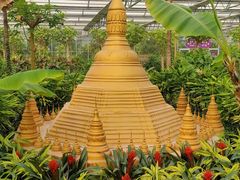 -南宫五洲植物乐园