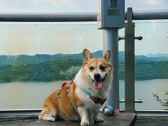 -天目湖山水园