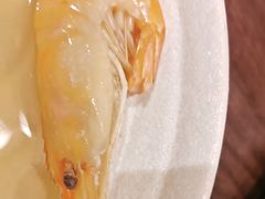 -黑松白鹿(金融街店)