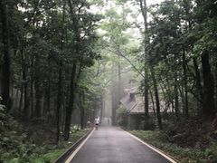 -滴水岩森林公园